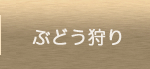 ぶどう狩り