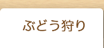 ぶどう狩り